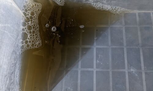 PXL_20220630_025550125