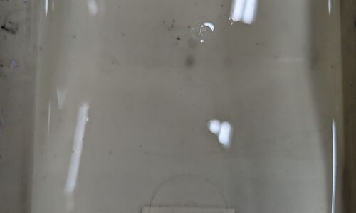 PXL_20240415_101710338 (1)